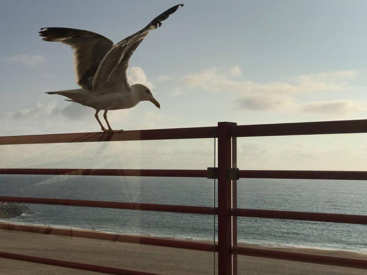 Dream Holiday -Beautiful Spot Nazare Luaran gambar