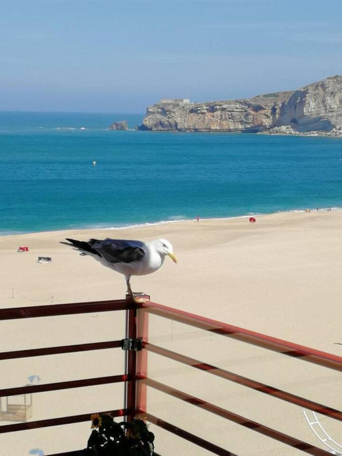 Dream Holiday -Beautiful Spot Nazare Luaran gambar